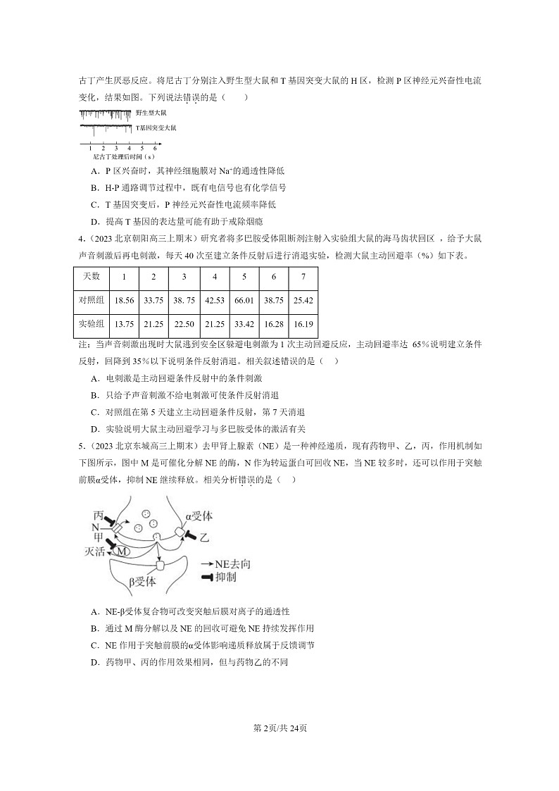 [生物]2022～2024北京高三上学期期末试题生物分类汇编：神经冲动的产生和传导02