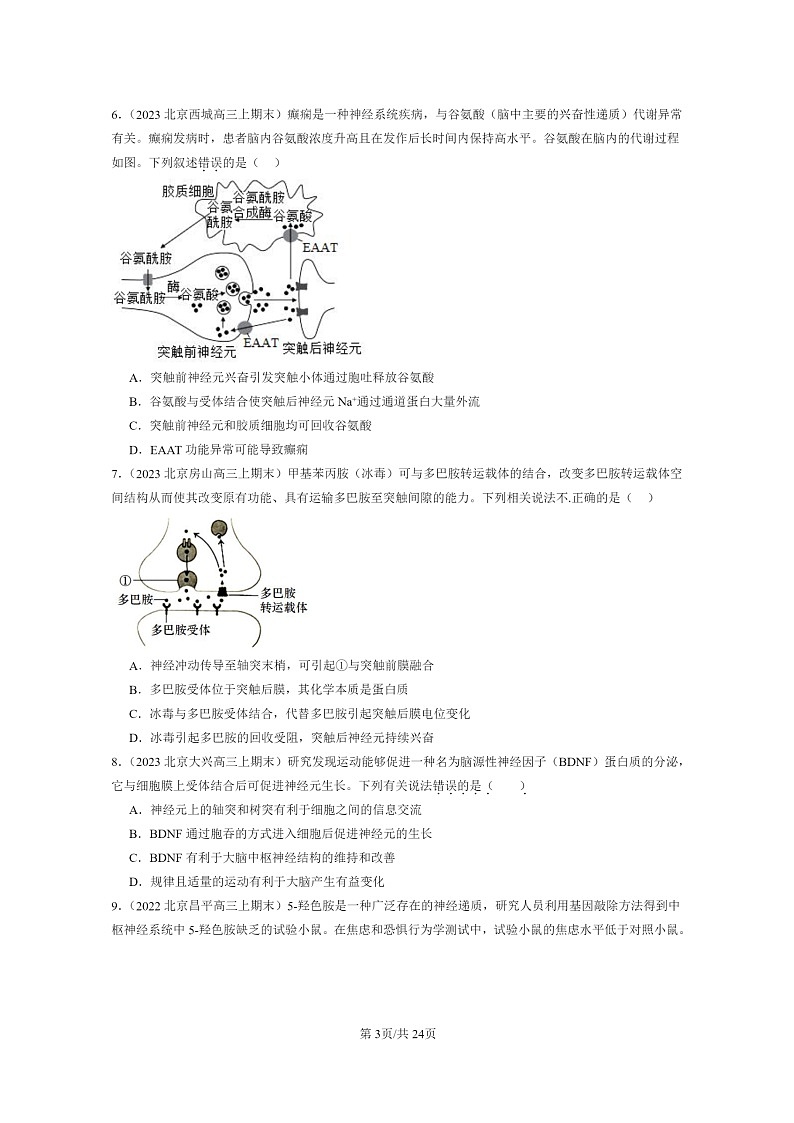 [生物]2022～2024北京高三上学期期末试题生物分类汇编：神经冲动的产生和传导03