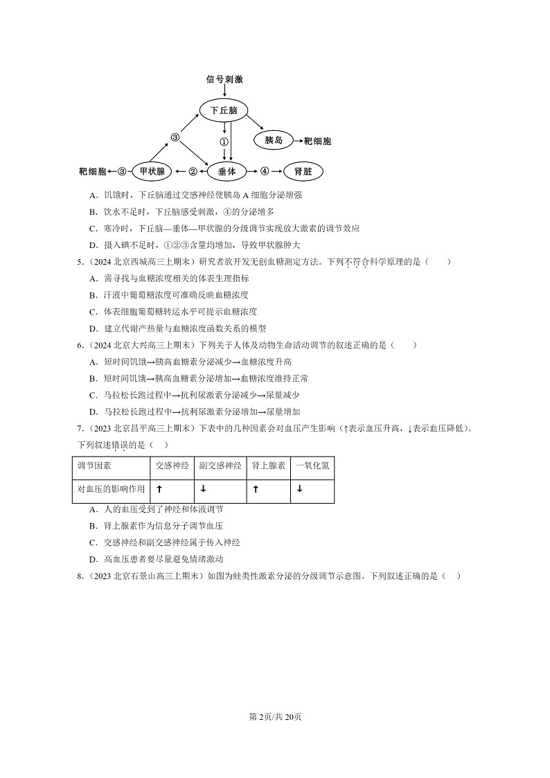 [生物]2022～2024北京高三上学期期末生物分类汇编：体液调节与神经调节的关系第2页