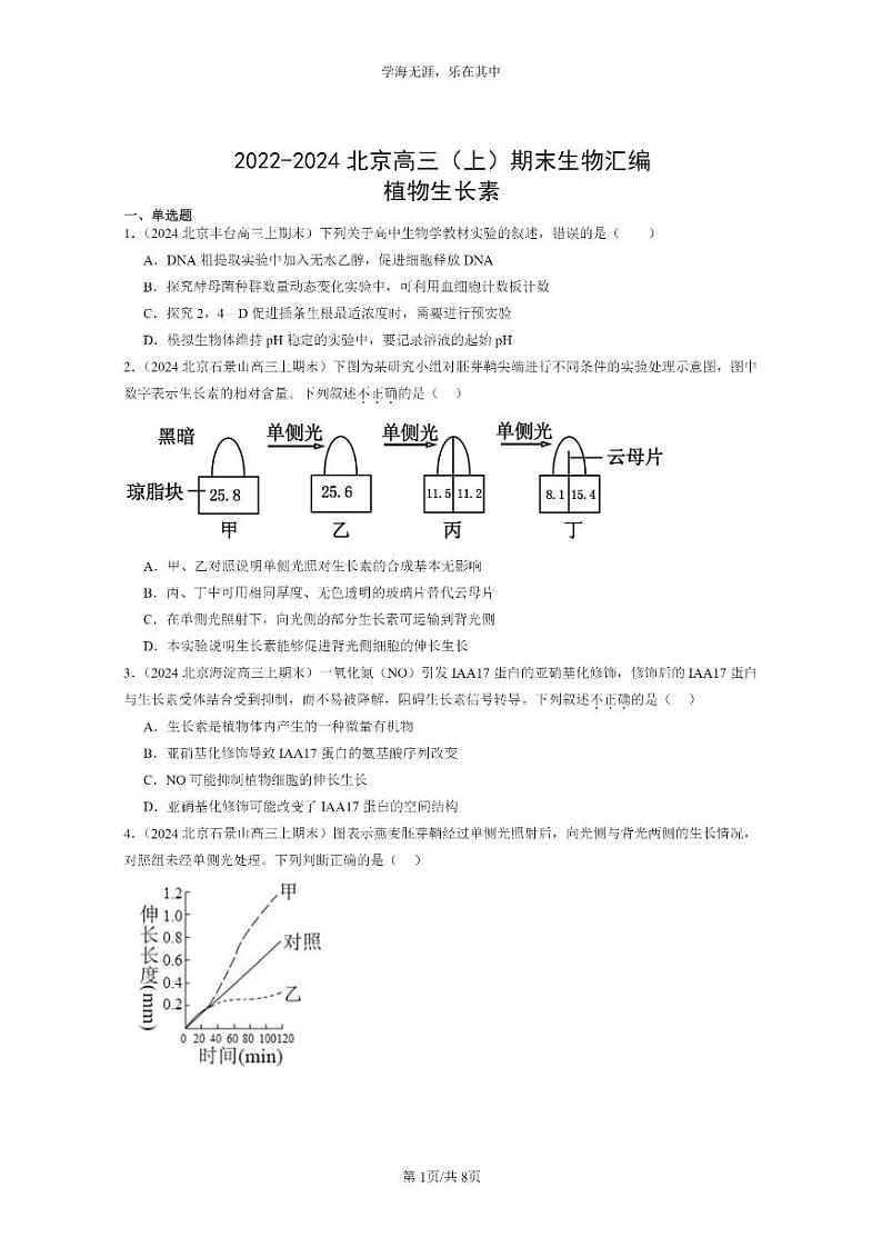 [生物]2022～2024北京高三上学期期末试题生物分类汇编：植物生长素01