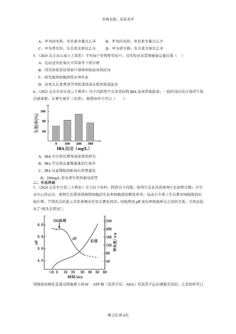 [生物]2022～2024北京高三上学期期末试题生物分类汇编：植物生长素02