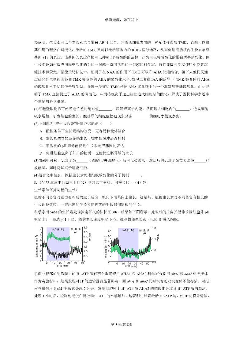 [生物]2022～2024北京高三上学期期末试题生物分类汇编：植物生长素03