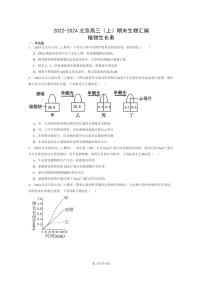 [生物]2022～2024北京高三上学期期末试题生物分类汇编：植物生长素