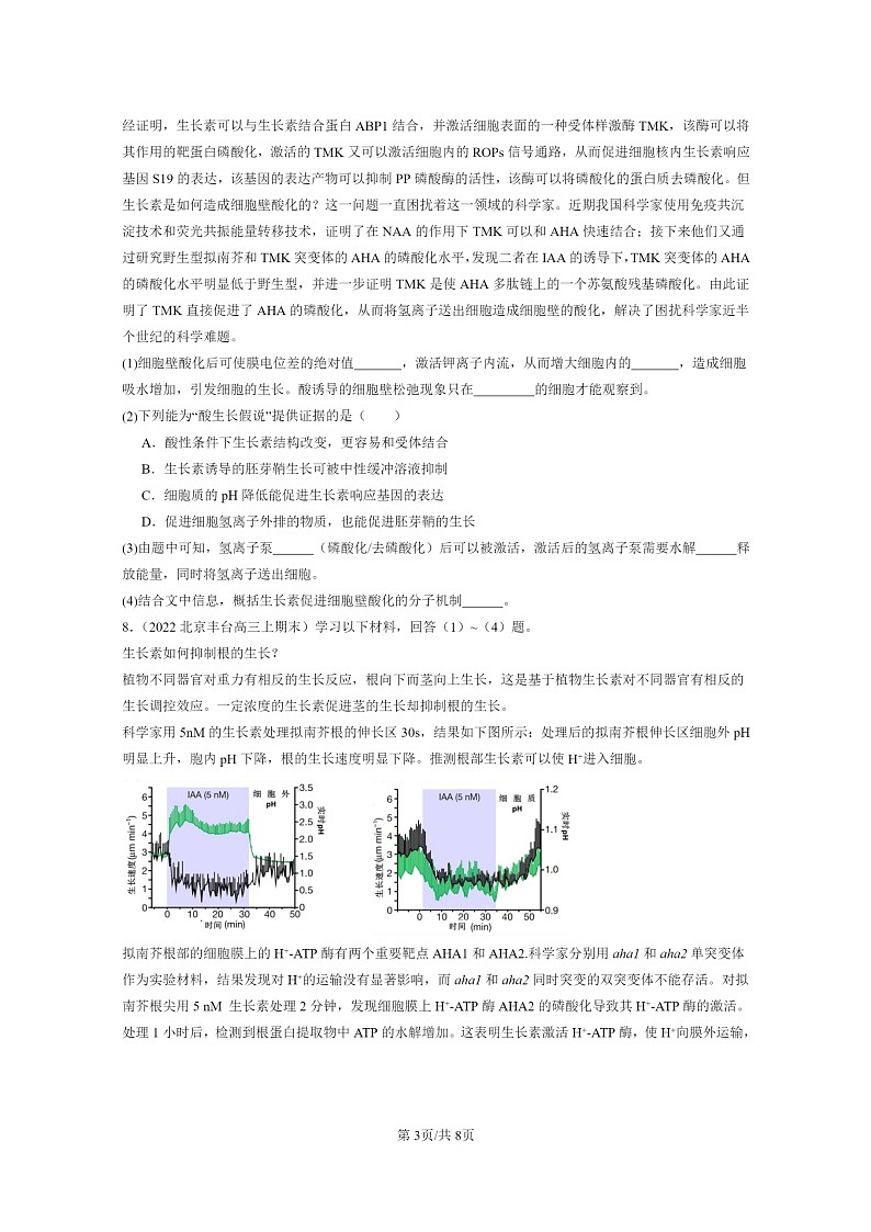 [生物]2022～2024北京高三上学期期末试题生物分类汇编：植物生长素03