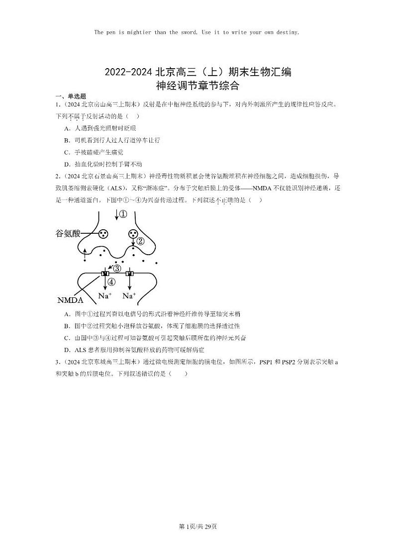 [生物]2022～2024北京高三上学期期末试题生物分类汇编神经调节章节综合01