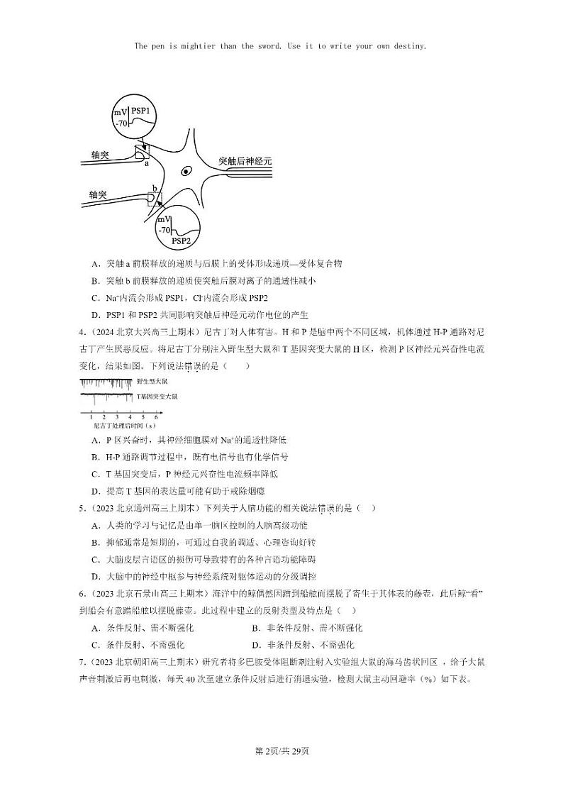 [生物]2022～2024北京高三上学期期末试题生物分类汇编神经调节章节综合02