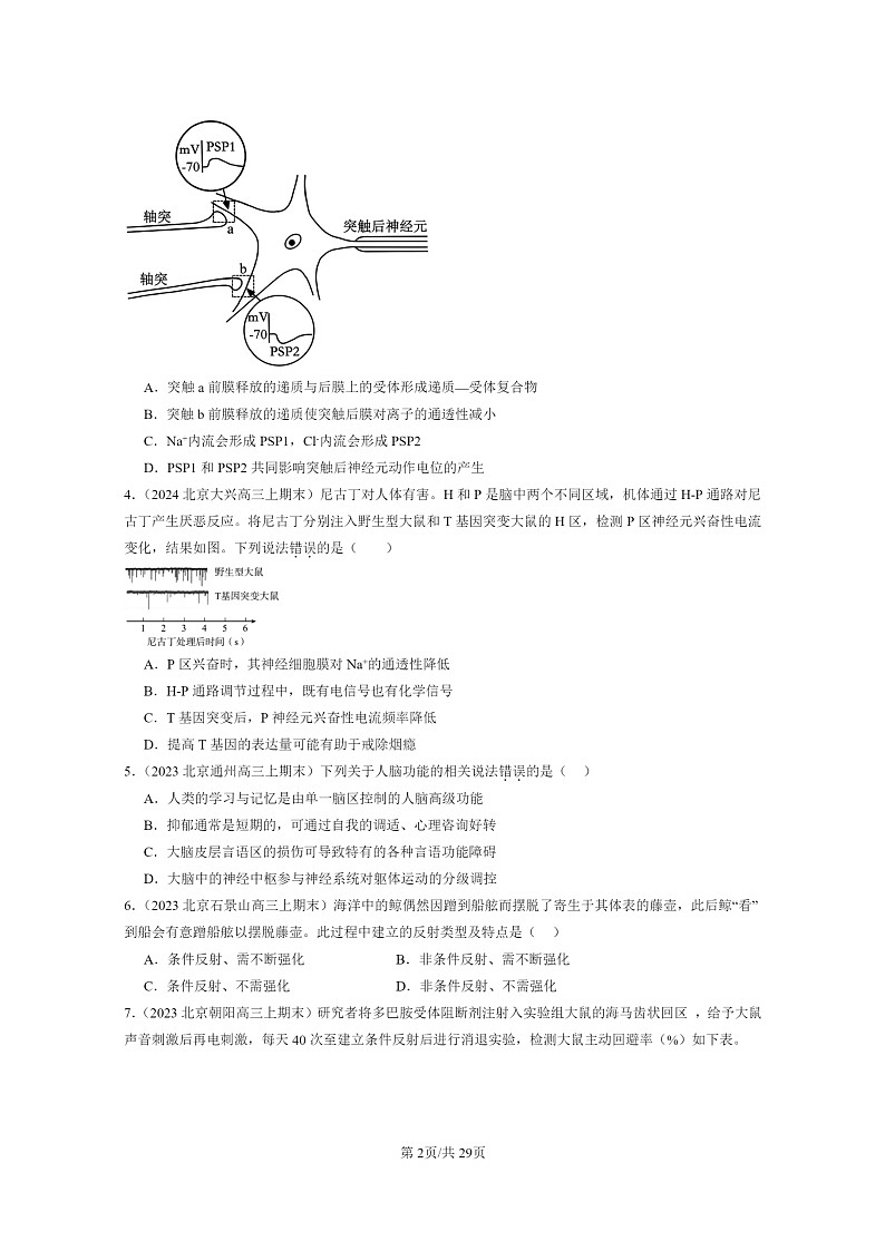 [生物]2022～2024北京高三上学期期末试题生物分类汇编神经调节章节综合02