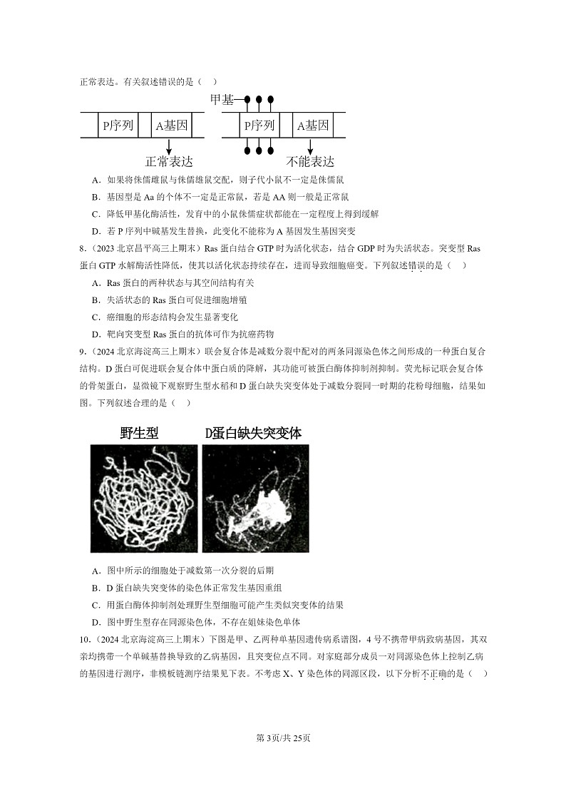 [生物]2022～2024北京重点校高三上学期期末生物分类汇编：基因突变和基因重组第3页