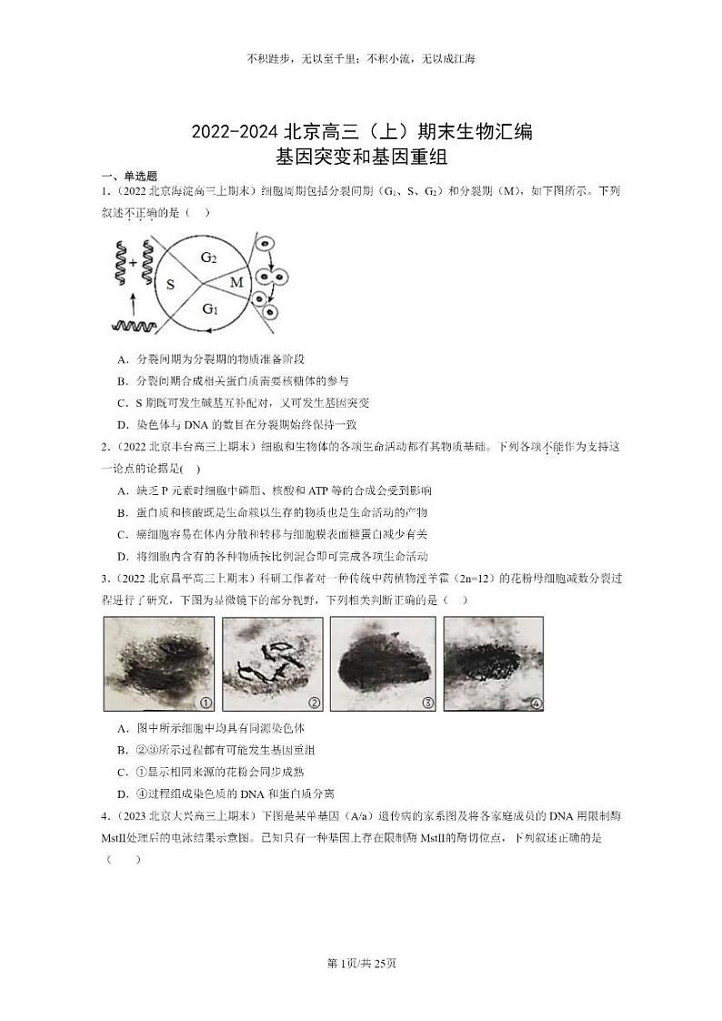 [生物]2022～2024北京重点校高三上学期期末生物分类汇编：基因突变和基因重组第1页