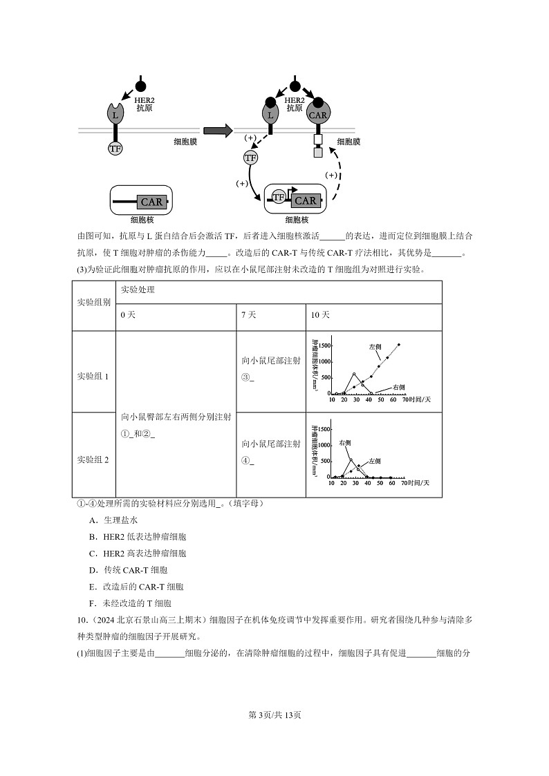 [生物]2024北京高三上学期期末试题生物分类汇编：免疫调节章节综合03