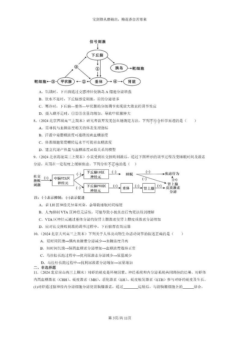 [生物]2024北京高三上学期期末试题生物分类汇编：体液调节章节综合03