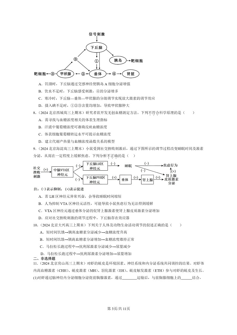 [生物]2024北京高三上学期期末试题生物分类汇编：体液调节章节综合03
