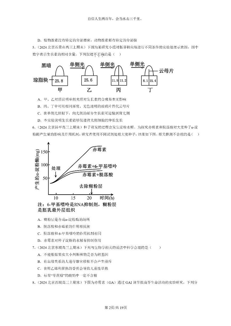 [生物]2024北京高三上学期期末试题生物分类汇编：植物生命活动的调节章节综合02