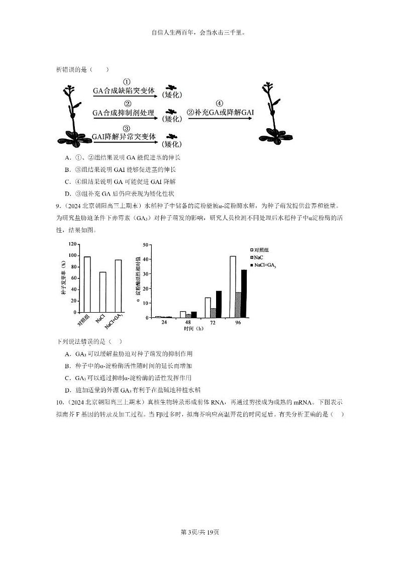 [生物]2024北京高三上学期期末试题生物分类汇编：植物生命活动的调节章节综合03