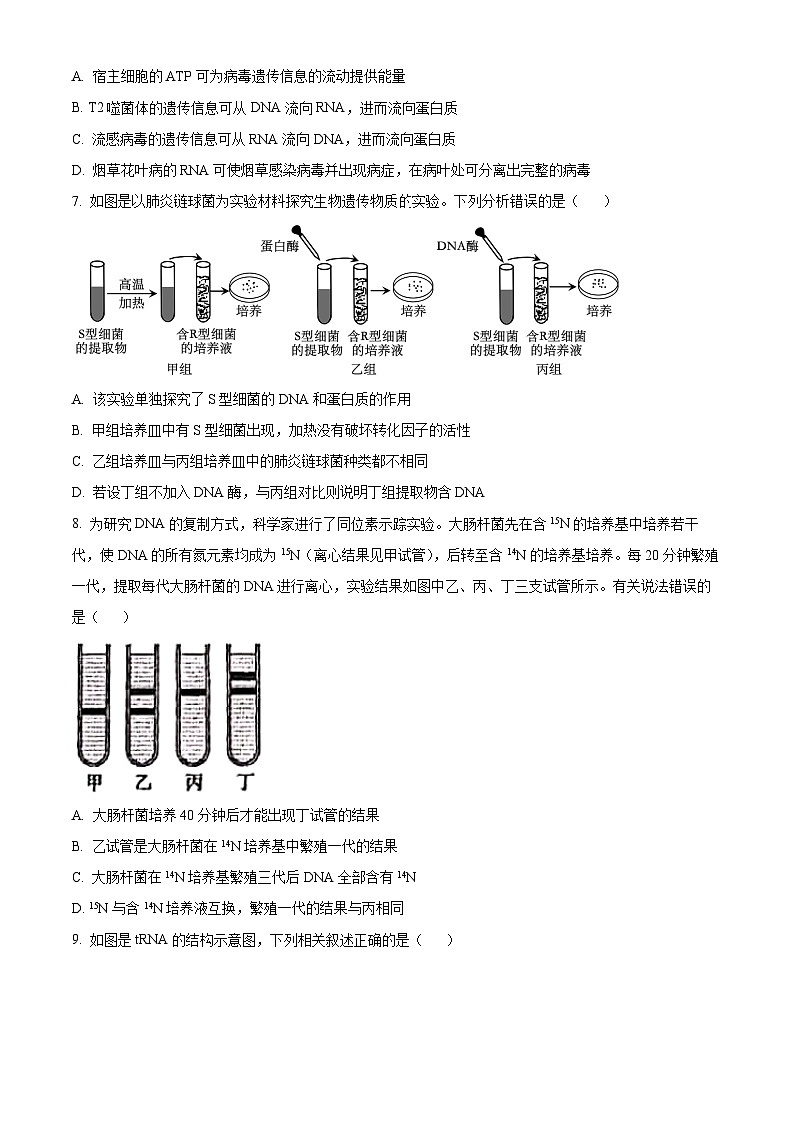 河南省漯河市高级中学2023-2024学年高一下学期7月月考生物试题（Word版附解析）03