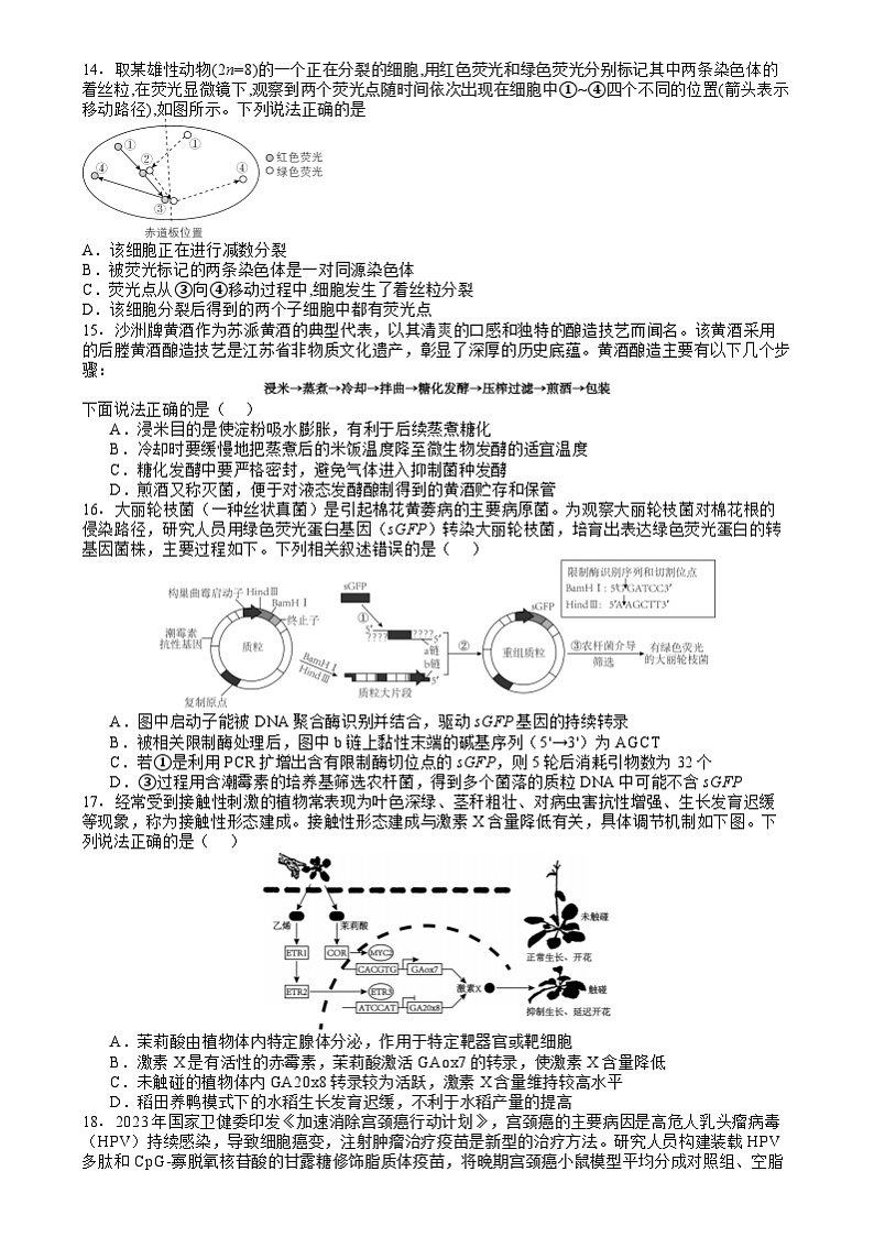 河北省唐山市路南区唐山市第一中学2024-2025学年高三上学期开学考试生物试题第3页