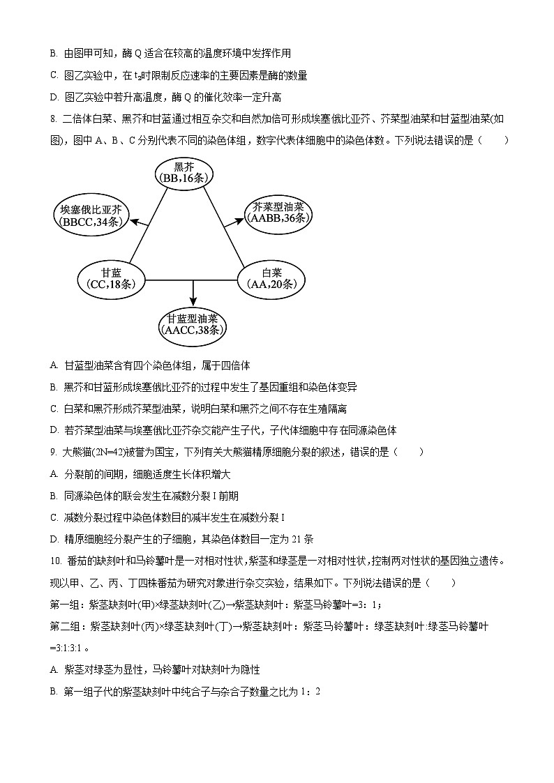 山东省菏泽市成武县伯乐高级中学2024-2025学年高二上学期开学考试生物试题（原卷版）第3页