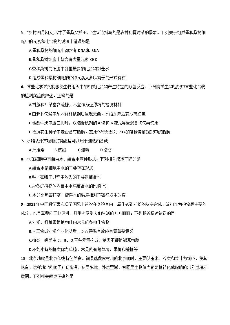四川省乐山市第一中学校2023-2024学年高一上学期10月月考生物试题02