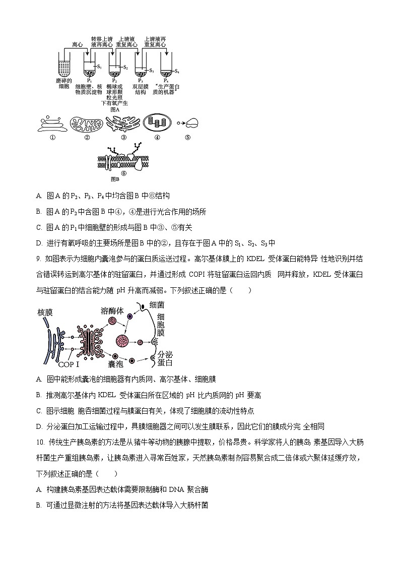江西省南昌市第一中学2023-2024学年高二下学期7月期末考试生物试题（Word版附解析）第3页