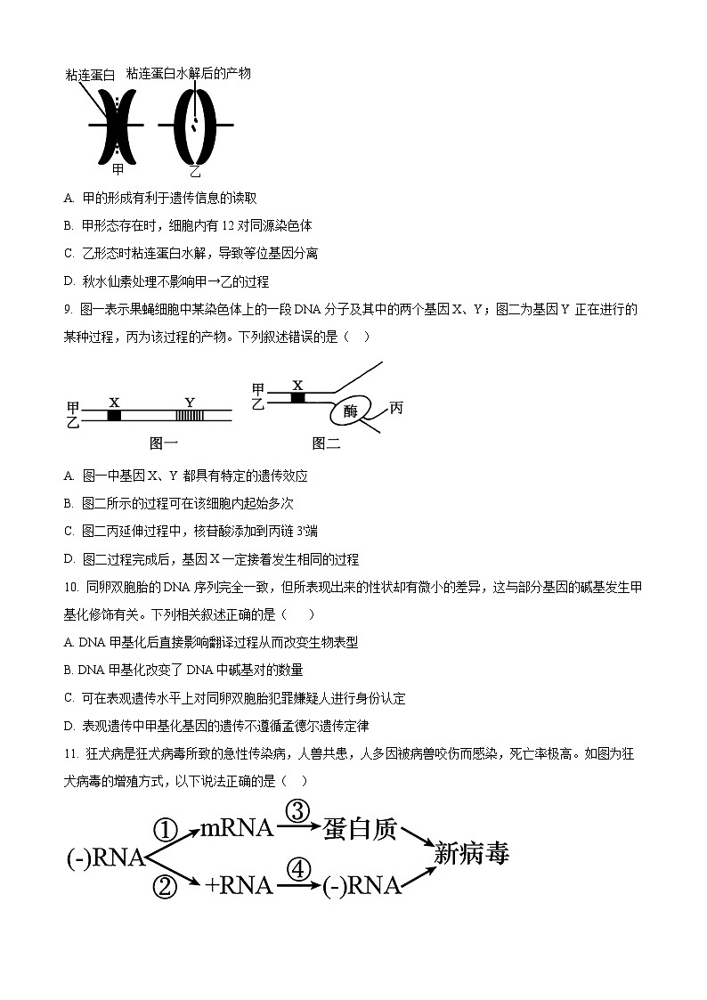 四川省成都外国语学校2023-2024学年高一下学期7月月考生物试题（Word版附解析）03