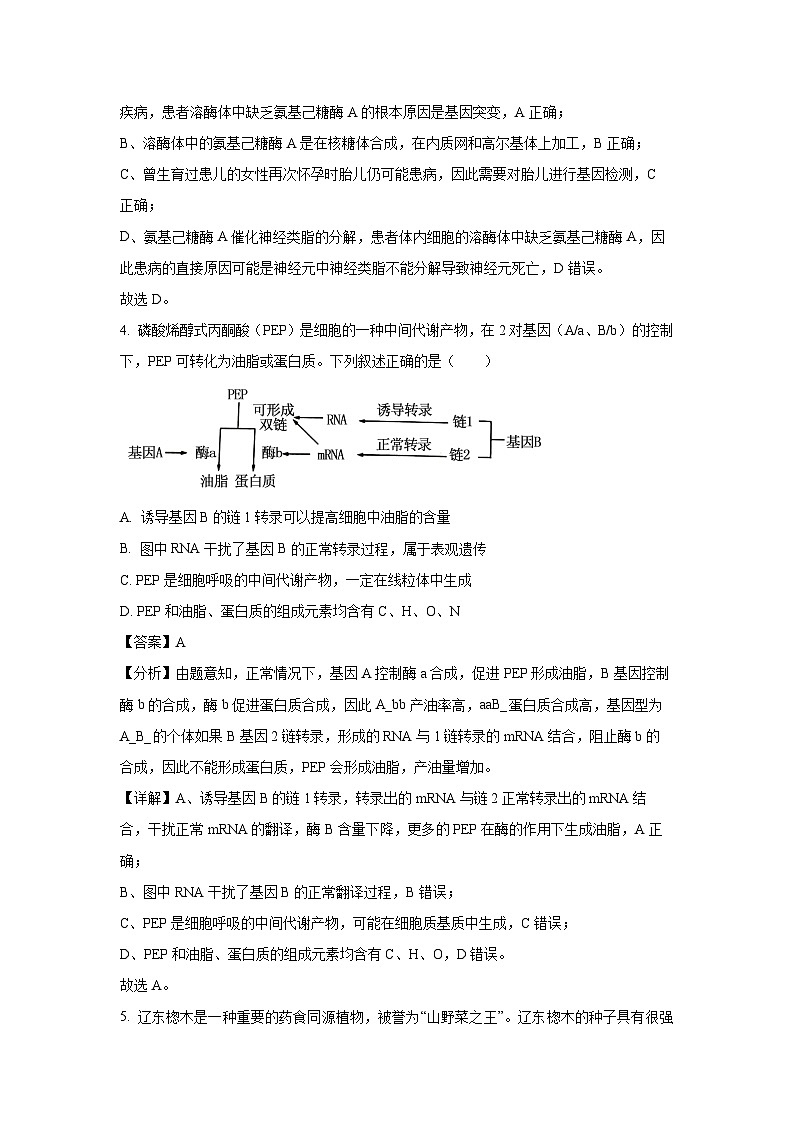 [生物][三模]2024届福建省厦门市高三试卷(解析版)第3页