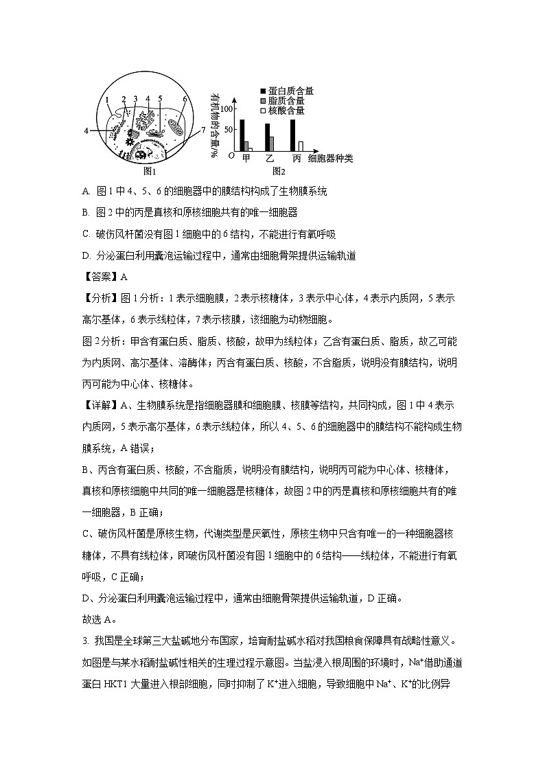 [生物][三模]2024届湖南省衡阳市部分名校高三下学期联考试卷(解析版)第2页