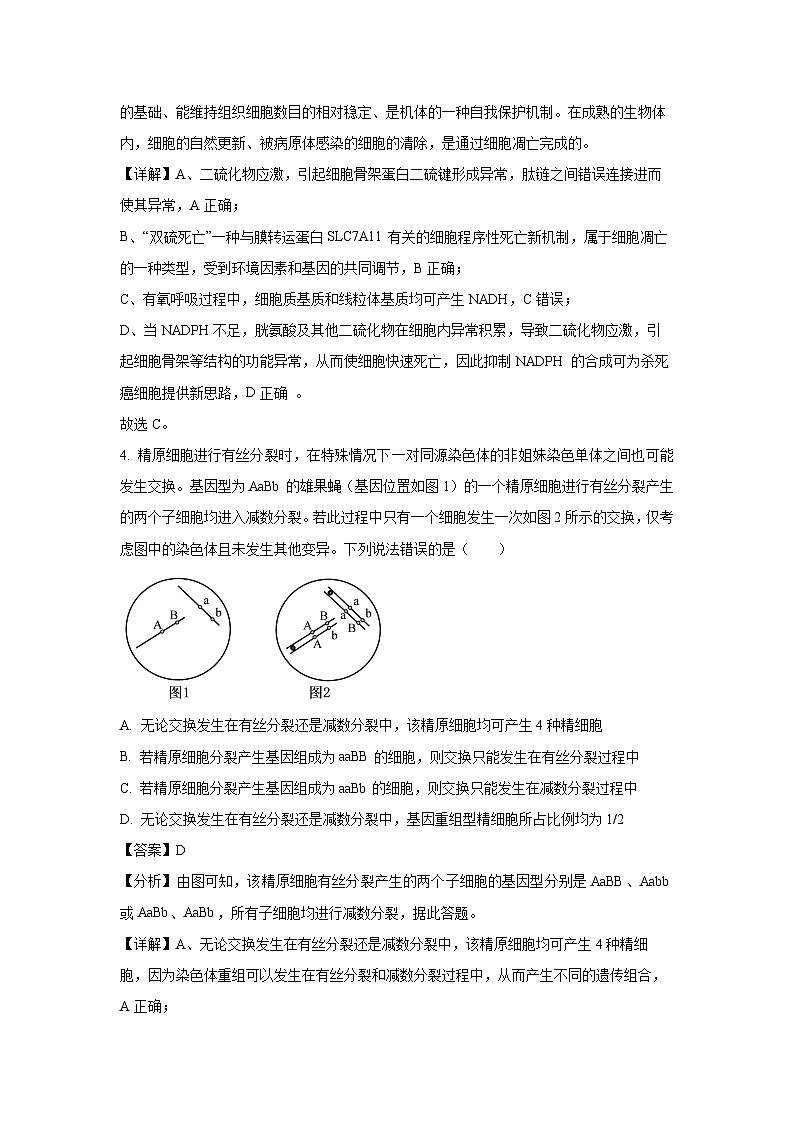 [生物][二模]2024届山东省临沂市高三试卷(解析版)03