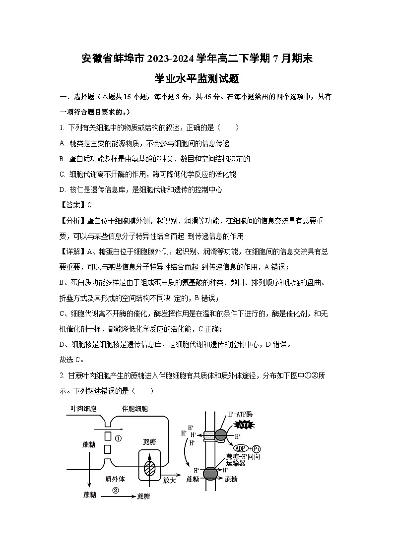 [生物][期末]安徽省蚌埠市2023-2024学年高二下学期7月期末学业水平监测试题(解析版)01