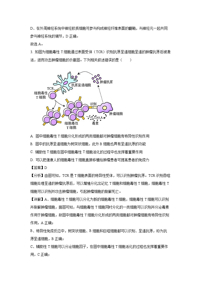 [生物][期末]安徽省亳州市2023-2024学年高二下学期7月期末试题(解析版)第2页