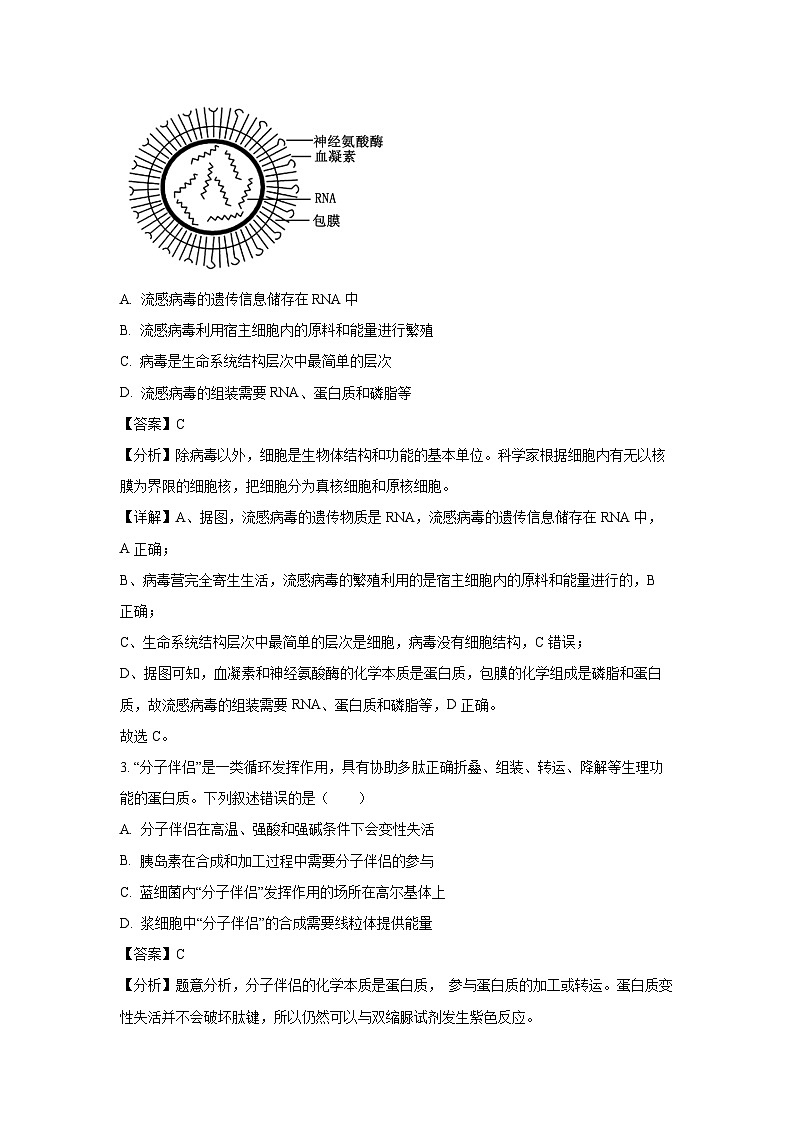 [生物][期末]河北省秦皇岛市卢龙县2023-2024学年高二下学期期末考试试题(解析版)02