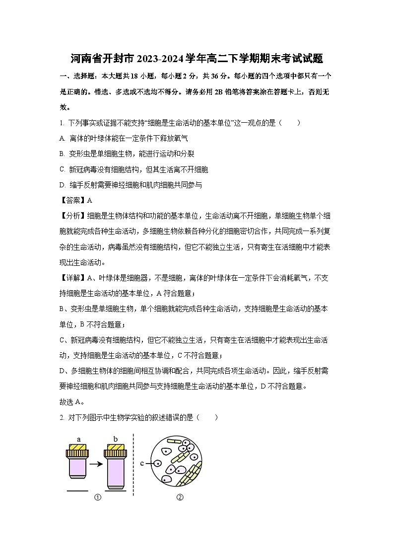 [生物][期末]河南省开封市2023-2024学年高二下学期期末考试试题(解析版)01