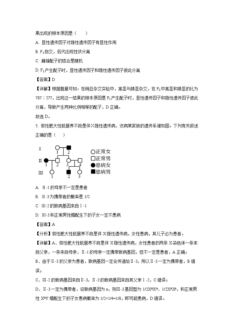 [生物][期末]湖南省益阳市安化县2023-2024学年高一下学期7月期末试卷(解析版)03