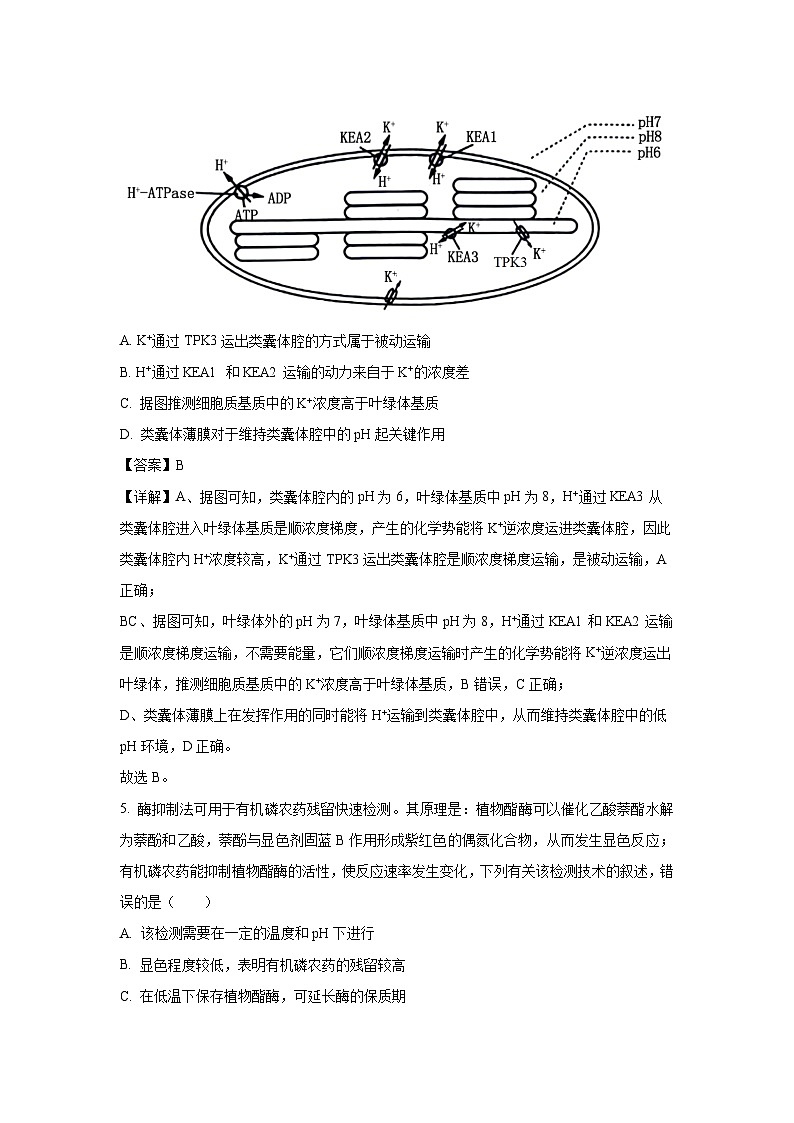 [生物][期末]山东省菏泽市2023-2024学年高二下学期期末考试试题(解析版)第3页