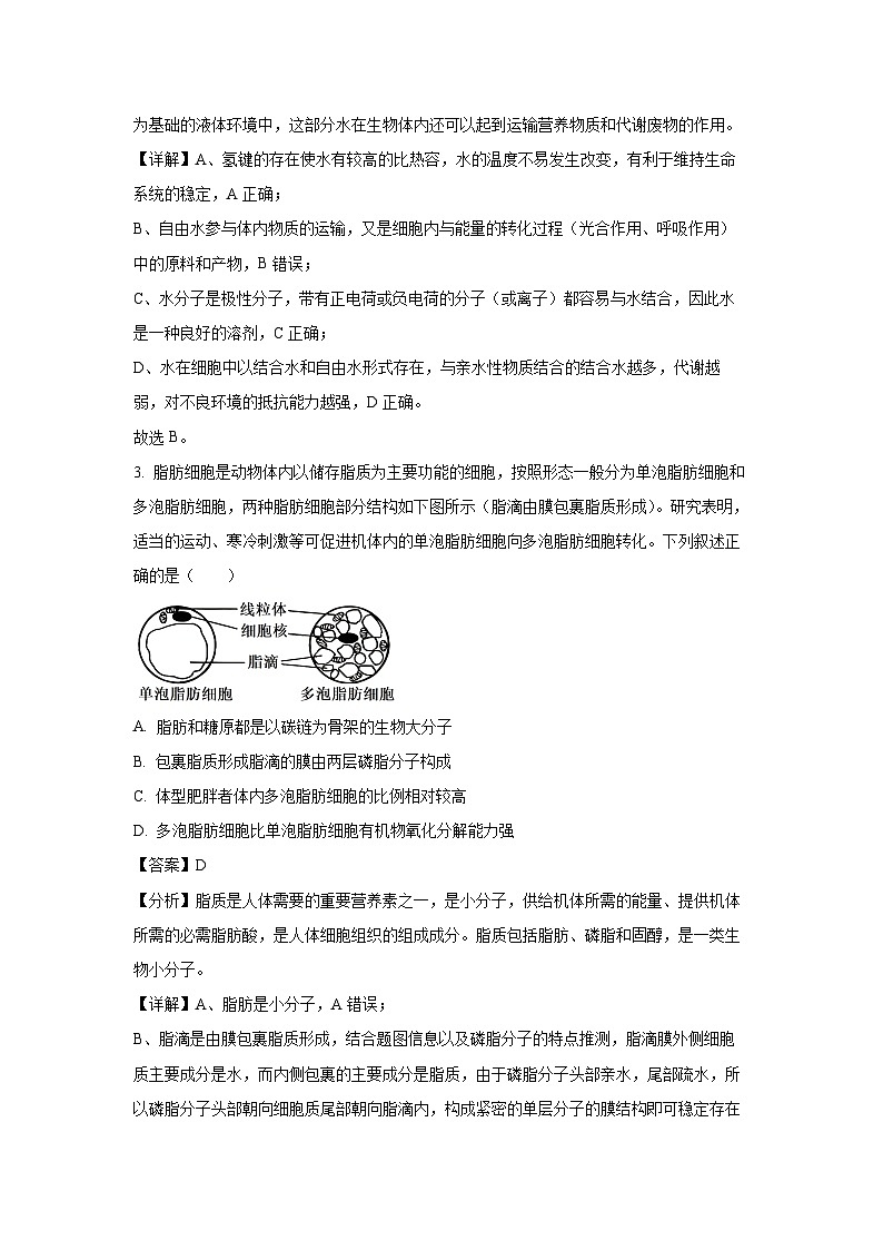 [生物][期末]山东省日照市2023-2024学年高二下学期期末考试试题(解析版)02
