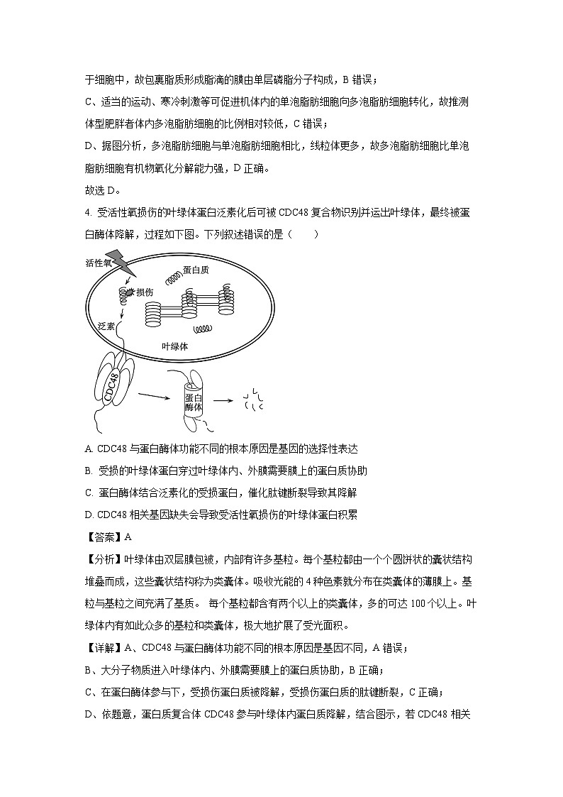 [生物][期末]山东省日照市2023-2024学年高二下学期期末考试试题(解析版)03