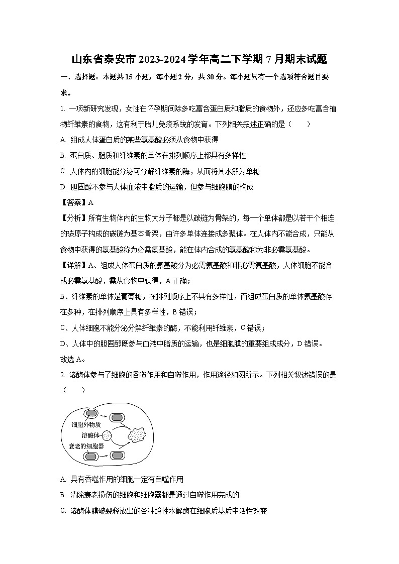 [生物][期末]山东省泰安市2023-2024学年高二下学期7月期末试题(解析版)01