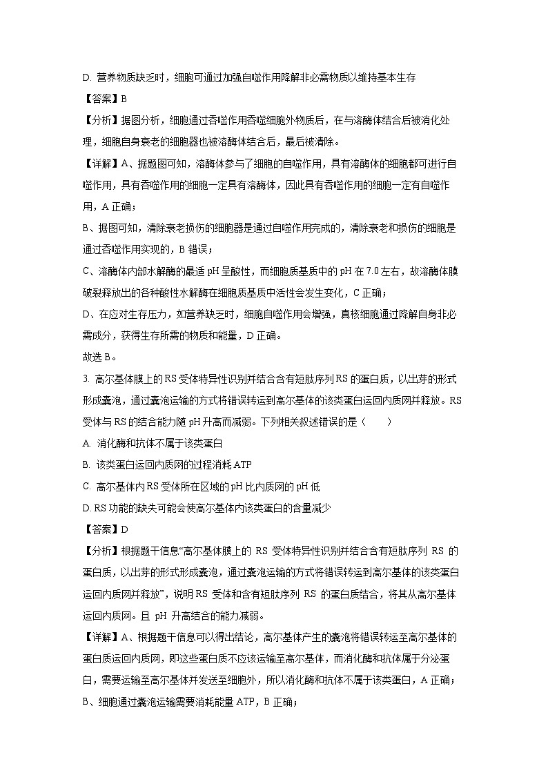 [生物][期末]山东省泰安市2023-2024学年高二下学期7月期末试题(解析版)02