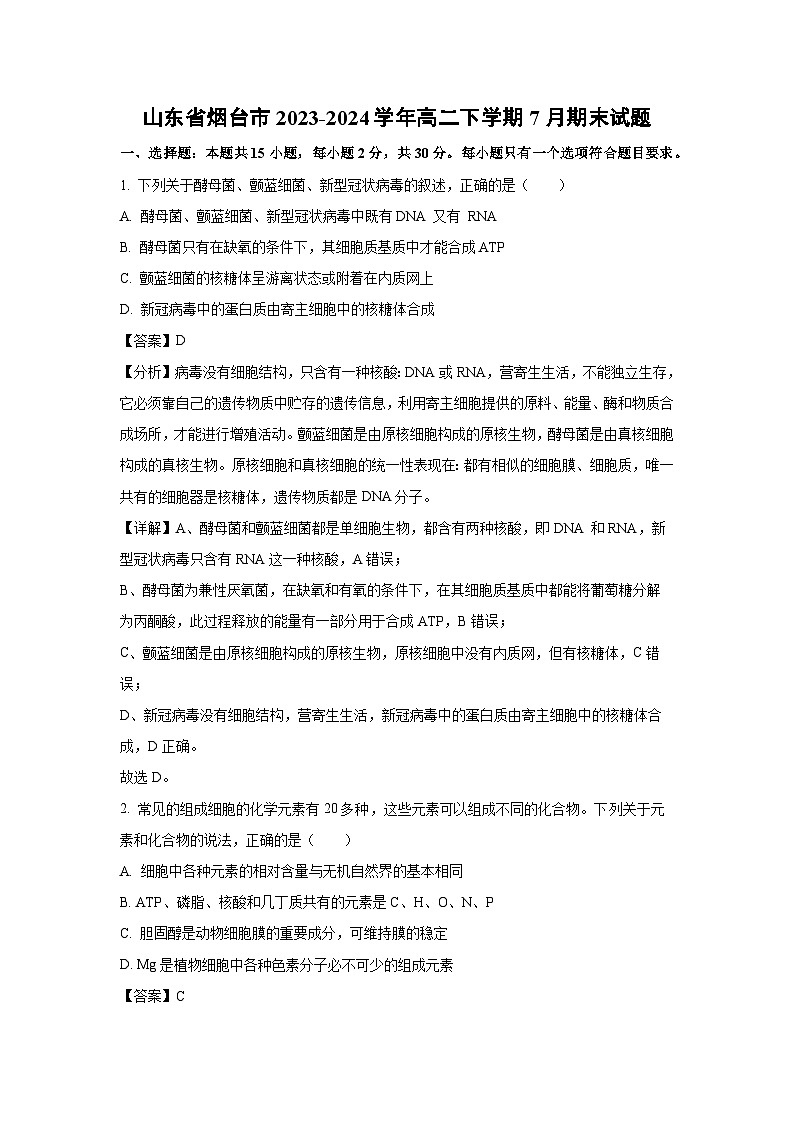 [生物][期末]山东省烟台市2023-2024学年高二下学期7月期末试题(解析版)(1)01