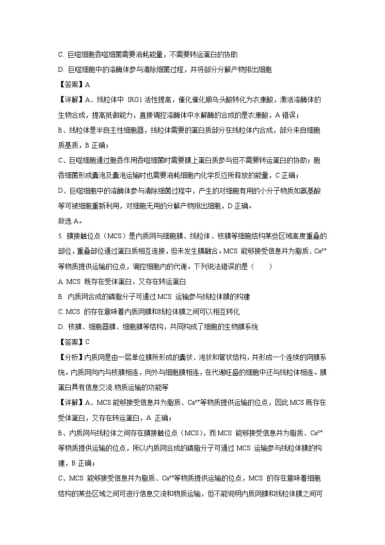 [生物][期末]山东省烟台市2023-2024学年高二下学期7月期末试题(解析版)(1)03