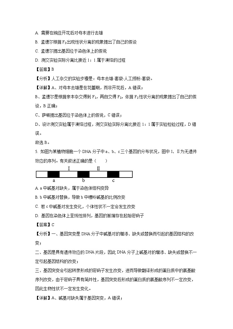 [生物][三模]浙江省县域教研联盟2024年下学期5月份高考模拟试卷(解析版)第3页