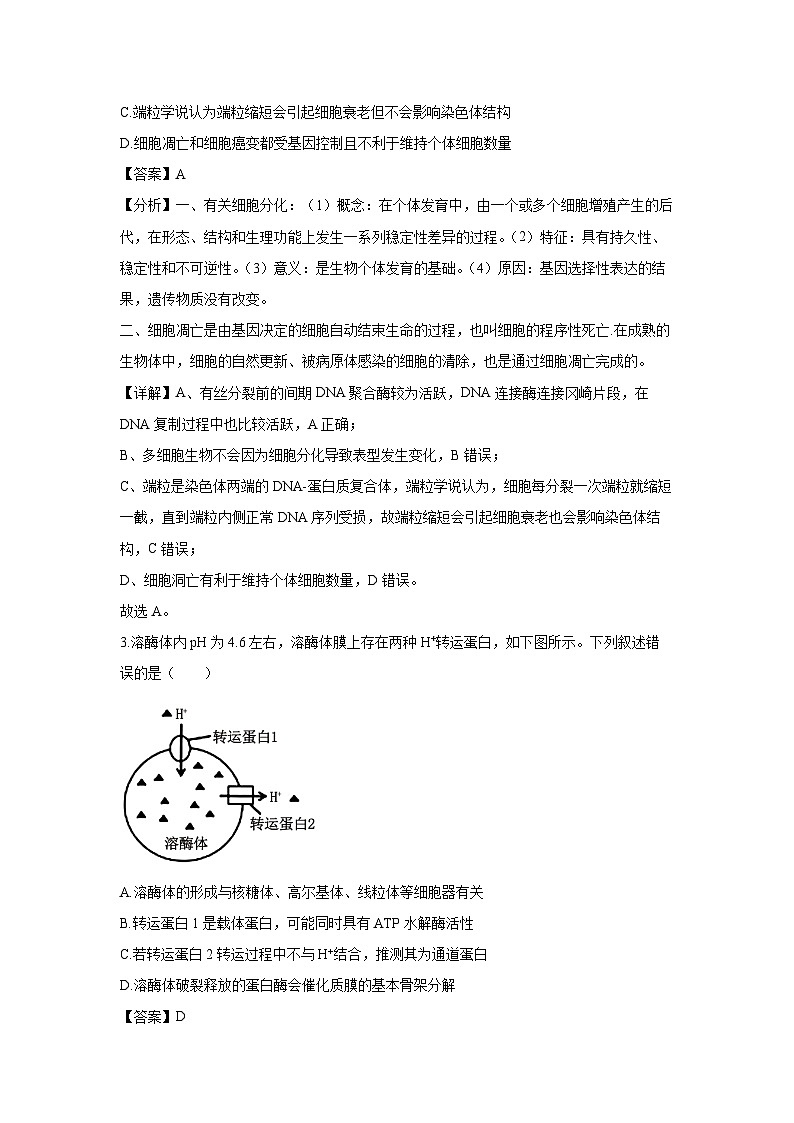 [生物]2024届江苏省南京市高三下学期第二次模拟考试(解析版)第2页