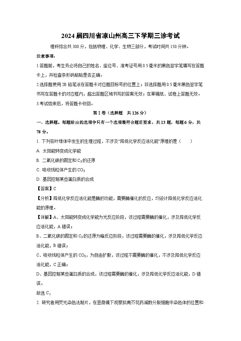 [生物]2024届四川省凉山州高三下学期三诊考试(解析版)01