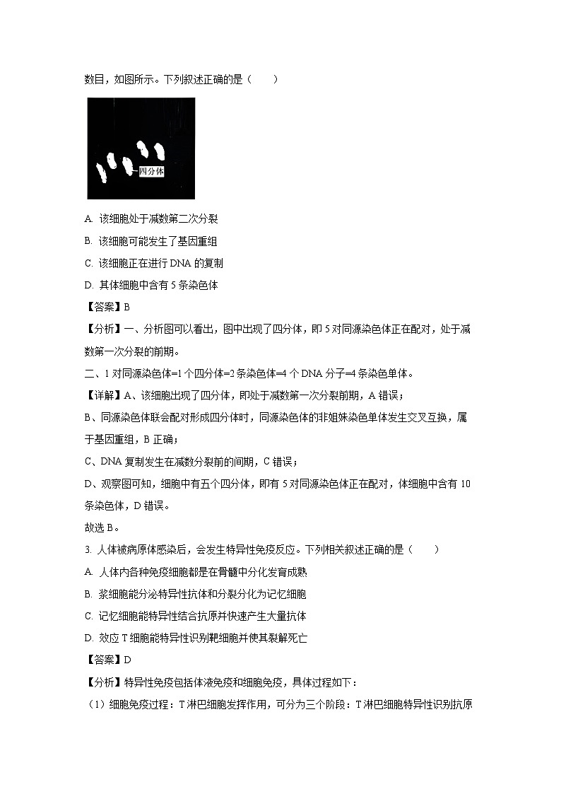 [生物]2024届四川省凉山州高三下学期三诊考试(解析版)02