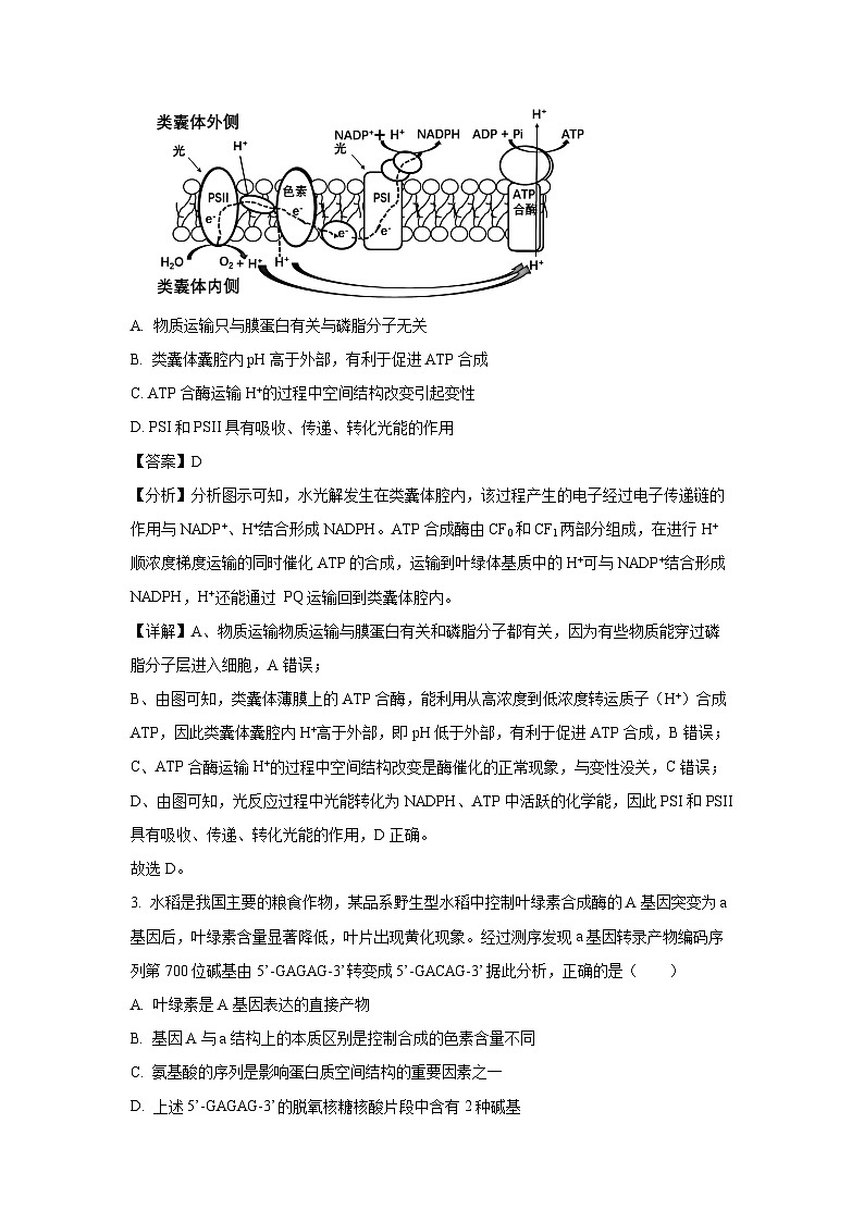 [生物]浙江省强基联盟2023-2024学年高三下学期5月联考试卷(解析版)02