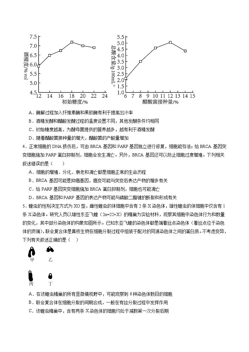 生物-2025届新高三开学摸底考试卷（辽宁卷）（含解析版及原卷版及答题卡）02
