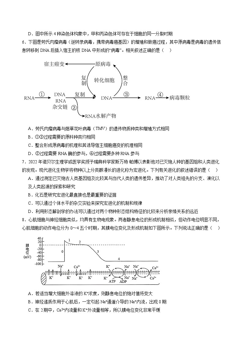 生物-2025届新高三开学摸底考试卷（辽宁卷）（含解析版及原卷版及答题卡）03