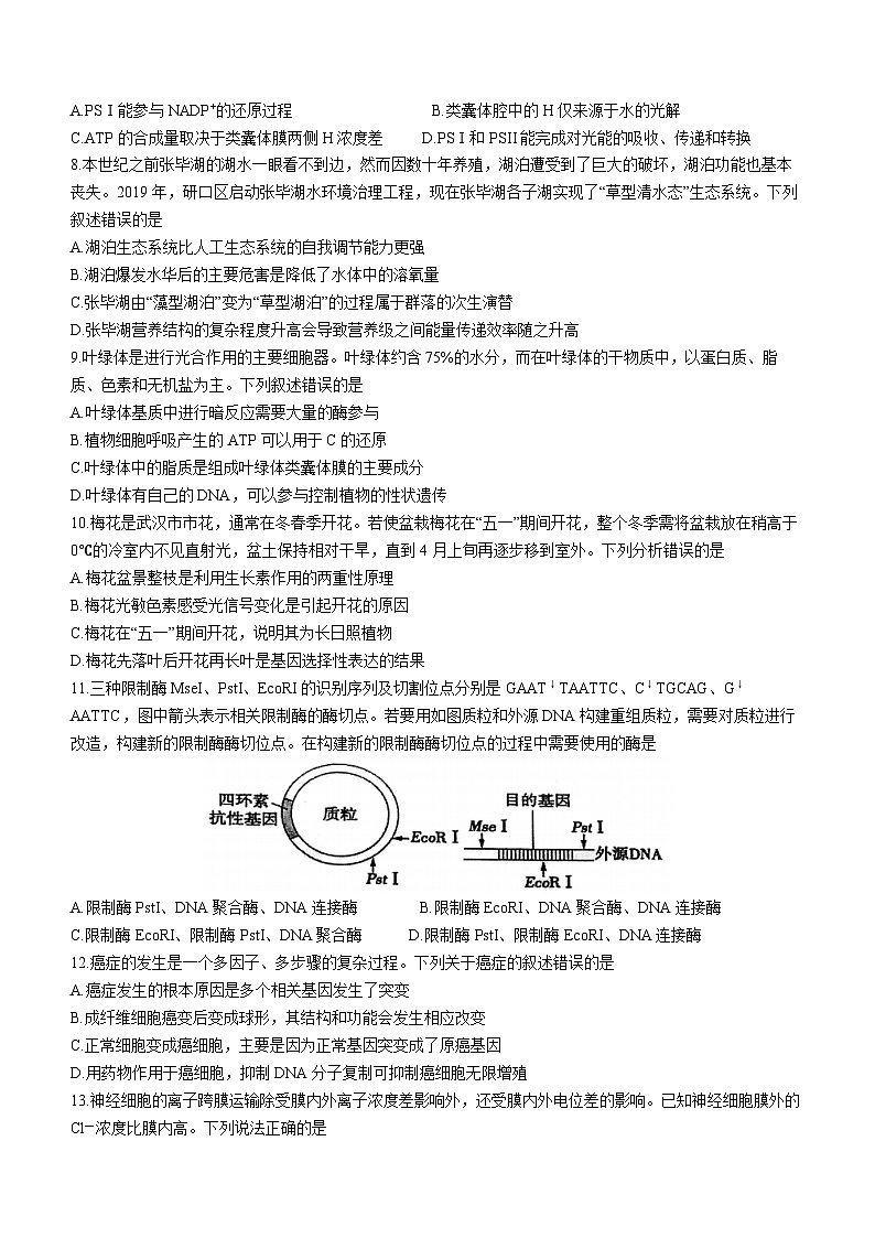 生物丨湖北省武汉市硚口区2024届高三上学期８月开学质量检测生物试卷及答案第3页