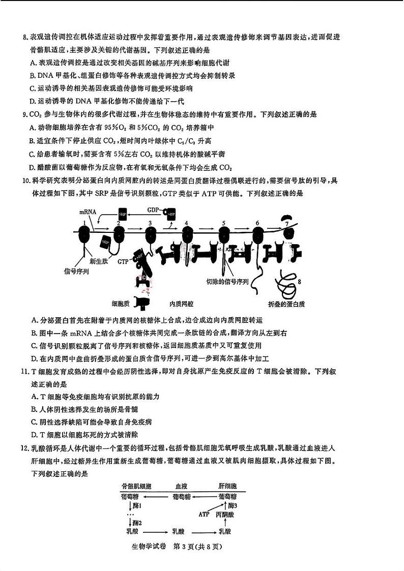 湖北省高中名校联盟2025届高三第一次联考生物试题第3页