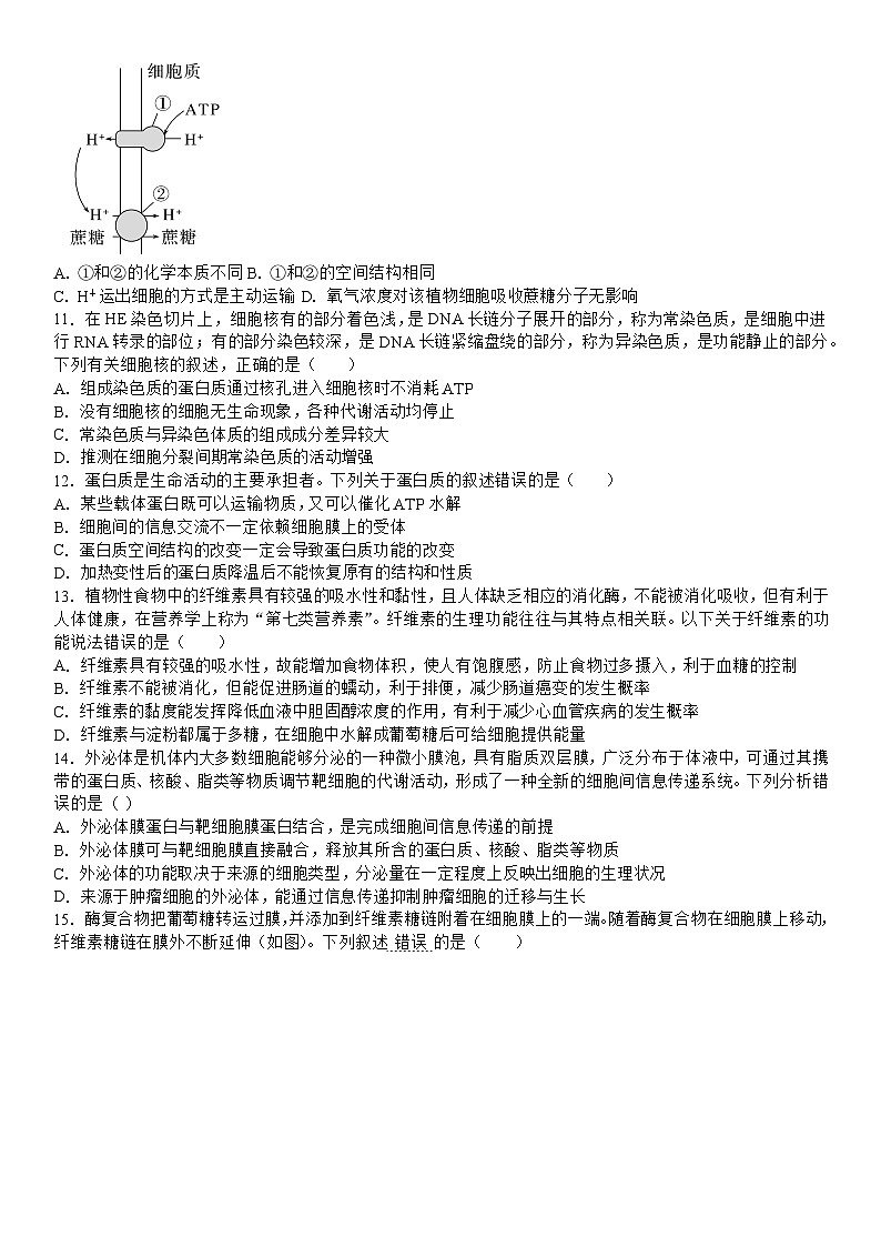 吉林省白城市洮北区白城市第一中学2024-2025学年高三上学期开学考试生物试题03