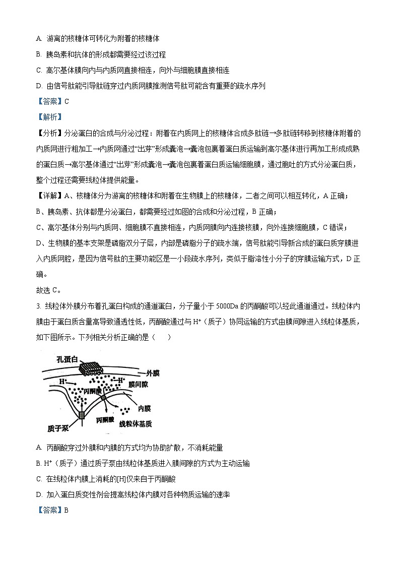 湖南省平江县颐华高级中学2024-2025学年高三上学期入学考试生物试题（解析版）第2页